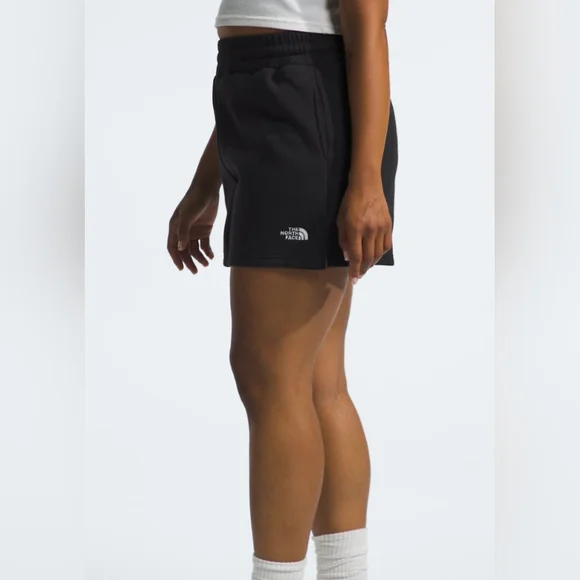 NorthFace- Evolution Shorts - Picture 3 of 3